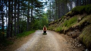 A person meditating on a forest path, embracing nature's tranquility in summer.